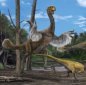 The Largest Feathered Creature Ever
