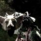 The Last Guardian Loses Another Developer