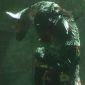 The Last Guardian Pushes the PlayStation 3 to Its Limits