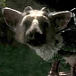 The Last Guardian Will Be Revealed at the Right Time, Sony Says