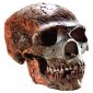 The Latest Neanderthals in Europe