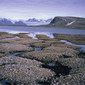 The Melting of Permafrost: a Carbon Menace