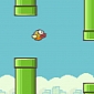 Flappy Bird, the Most Annoying iPhone Game Ever, Rakes In $50K/€37K per Day in Ad Revenue