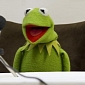 The Muppets Respond to Fox News Criticism