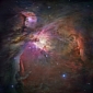 The Nearby and Gorgeous Orion Nebula Is Held Together by a Black Hole