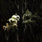 The Rarest and Most Mysterious Orchid: the Ghost Orchid