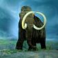 The Reasons Woolly Mammoths Are Extinct