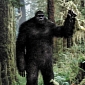 The Sasquatch Genome Project Is Back, Says DNA Evidence Proves Bigfoot Is Real