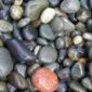 The Secret Lives of Pebbles