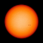The Sun Went Completely Quiet During What Was Supposed to Be Peak Activity Time