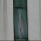 The Virgin Mary Appears to Patients on Hospital Window
