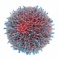 Therapeutic Nanoparticles Developed at MIT