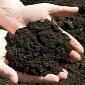 There Is a Whole Lot of Carbon in Deep, Ancient Soils