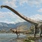 These Odd Dinosaurs Had Necks Spanning Half the Length of Their Bodies