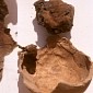 This 2,000-Year-Old Mummy's Brain Left Imprints on the Inside of His Skull