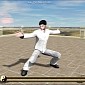This 3D Kung Fu App Teaches Windows 8 Tablet Owners Martial Arts