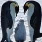 This April 25 Marks World Penguin Day