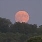 This Weekend, the Full Moon Will Look Larger Than Ever