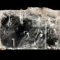 Thousands-Year-Old Bacteria Revived