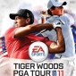 Tiger Woods Needs to Win Some Tournaments, Says EA