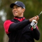 Tiger Woods Says Crash Was His Fault