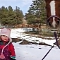 Tiny 2-Year-Old Girl Leads Mustang Along Snowy Path – Video