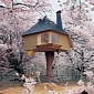 Tiny Treehouse Pops Up in Breathtakingly Beautiful Environment