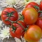 “Tomato Pill” Benefits People Suffering from Cardiovascular Diseases