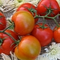 Tomato Pill Promises to Rid People of Strokes, Heart Attacks