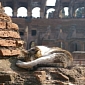 Torre Argentina Cat Sanctuary in Rome Faces Extinction