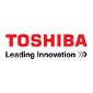 Toshiba Focuses on LCDs, Drops OLED Development