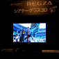Toshiba Regza ZP2 Are Polarizing 3D TVs
