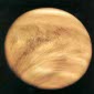 Tracking Down Venus' Lost Waters