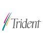 Trident Reports Q4 2010 Financial Results, Suffers Sequential Loss