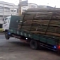 Truck Driver Shows Off Easy Way to Unload Bamboo
