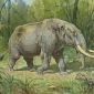 Tuberculosis Contributed to the Extinction of the Mastodons