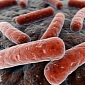 Tuberculosis Has Been Around for over 70,000 Years