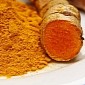 Turmeric, One of the Spices in Curry, Encourages Brain Cells Growth