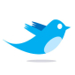 Twitter Chirp: Twitter Ready to Take On Facebook Connect with @anywhere