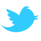Twitter Debuts Web Intents API for Embeddable Tweets