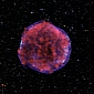 Type Ia Supernovae Are Produced by Two Different Processes