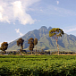 UK's Government Goes Against Oil Exploration in Congo's Virunga National Park