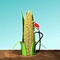 The US Make Major Investments in New Biofuel Projects [Video]