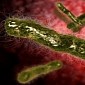 US Military Sends Live Anthrax to Labs in the Country and Overseas