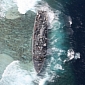 US Navy Ship Stuck in the Philippines Sparks Major Environmental Concerns