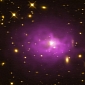 Ultramassive Black Holes, the Biggest in the Universe, May Be Common