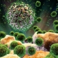 Understanding Immunosuppressive Viruses