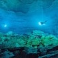 Underwater Cave Filled with Ancient Bones to Be Mapped in 3D
