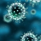 Universal Flu Vaccine Could Soon Hit the Market