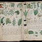 Unreadable Voynich Manuscript Might Have Been Cracked